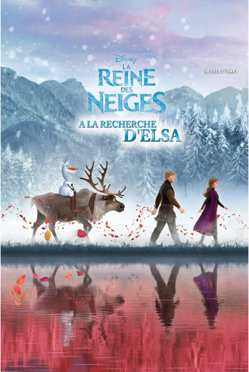 La Reine des Neiges: A la Recherche d'Elsa